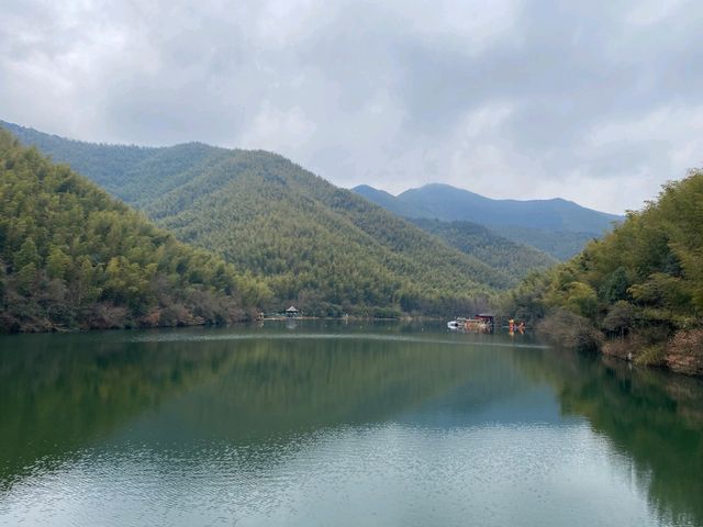 避坑指南：南山竹海門票交通防蚊全攻略，錯過會哭