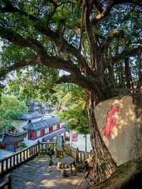 千年古剎——定光寺