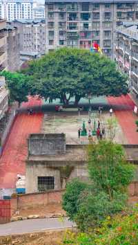 文治山公園