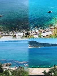 深圳限定春日花海，炮仗花瀑布美到失語