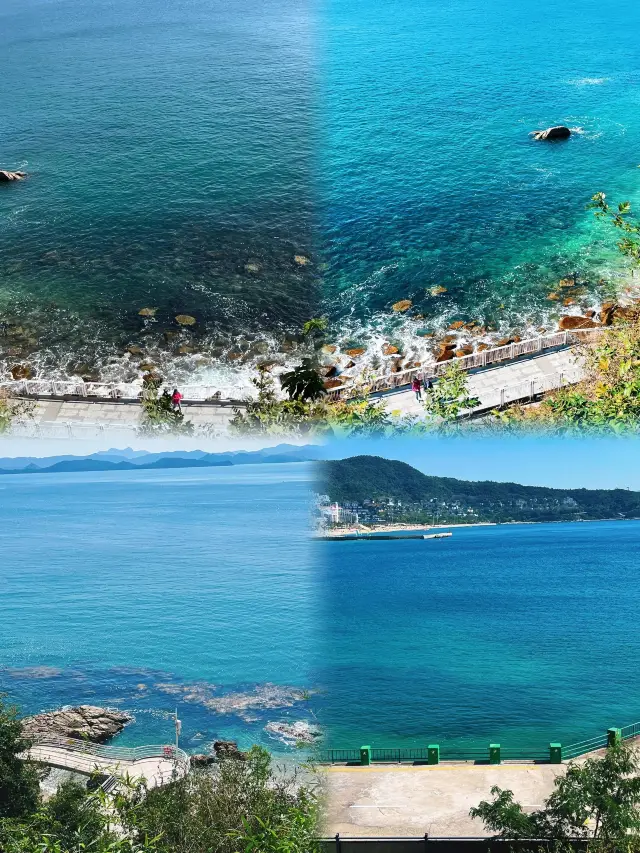 Shenzhen's exclusive spring flower sea: The firecracker flower waterfall is breathtaking.