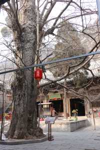 晉城青蓮寺