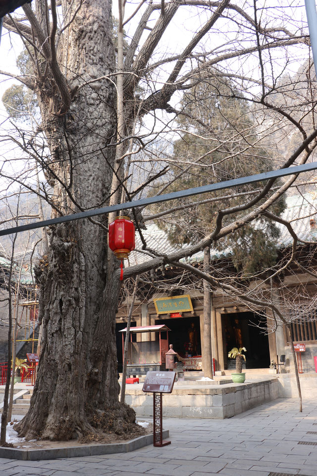 晉城青蓮寺