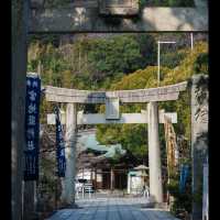 被日本福岡這場限定光影秀美哭😭 宮地嶽神社