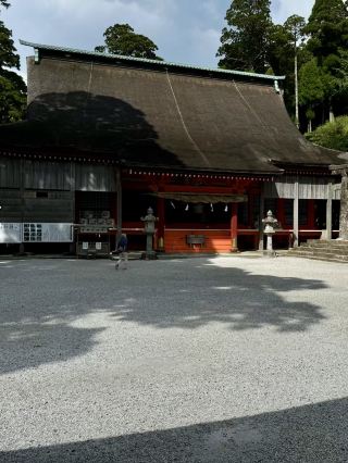 静寂と自然：福岡の深秋の山林散策