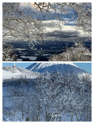 일본 홋카이도 니세코, 파우더 스노우 천국과 상고대의 환상적인 만남.