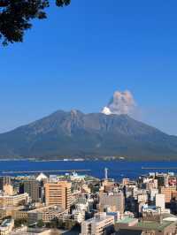 6日春遊日本 超美路線別錯過