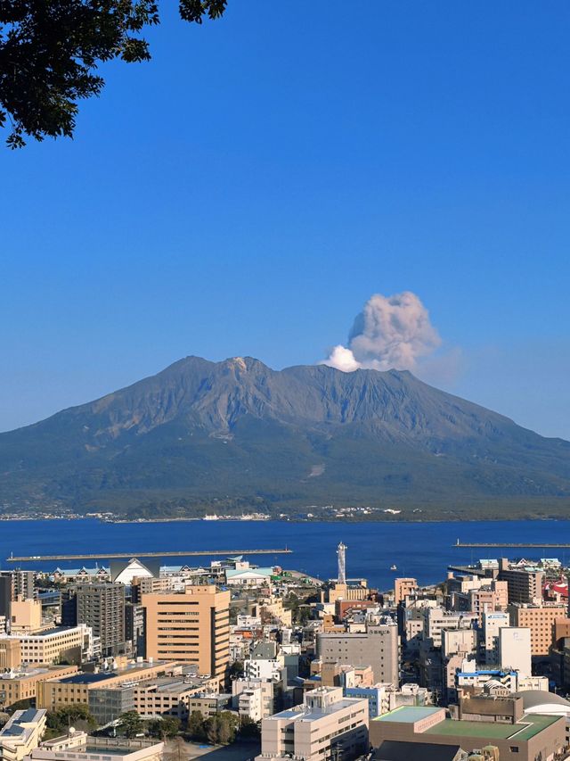 6日春遊日本 超美路線別錯過