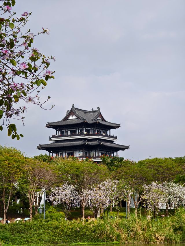 海珠湖親子遊，春日暢快呼吸！