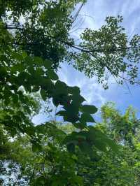 湖南湘潭金霞山｜湖南「小九寨」