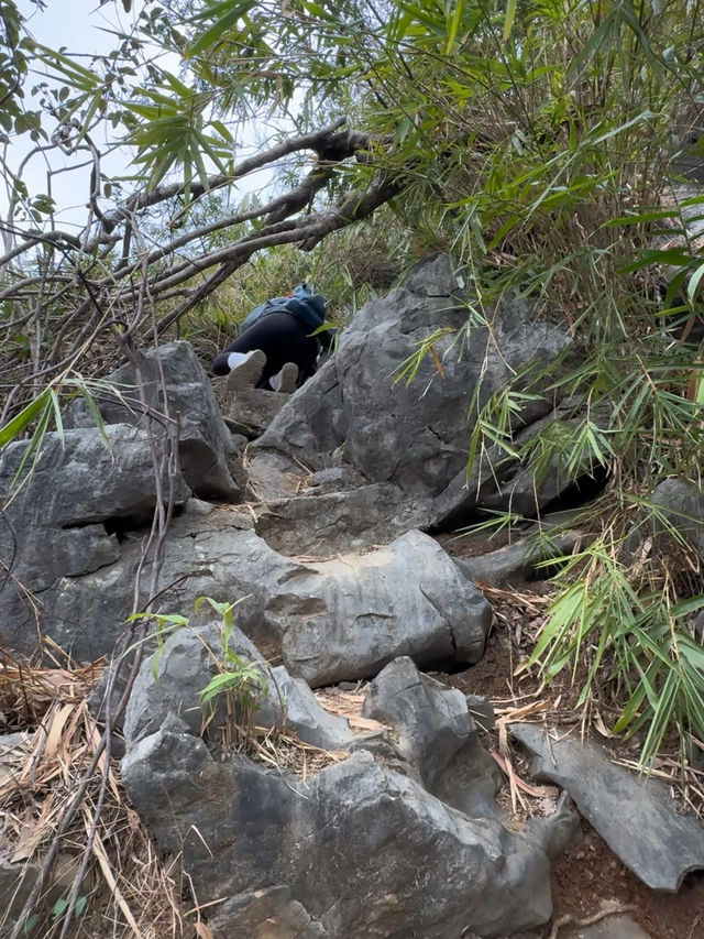 🇻🇳下龍灣顫抖登頂❗️人生封面在此🏞
