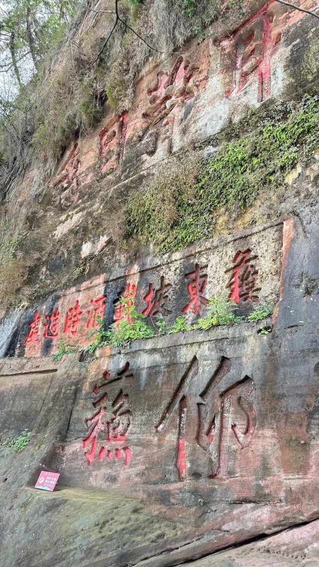 大學生特種兵相約樂山大佛？？