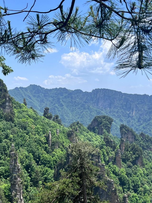 小長假要去張家界等地旅遊攻略 趕快收藏