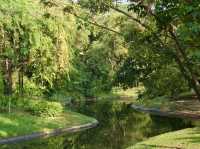 綠蔭與湖光：瓦琦拉班哲塔公園的靜謐時光