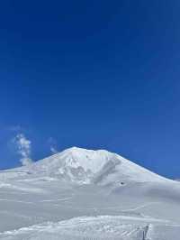 日本7日遊小長假出行優選攻略