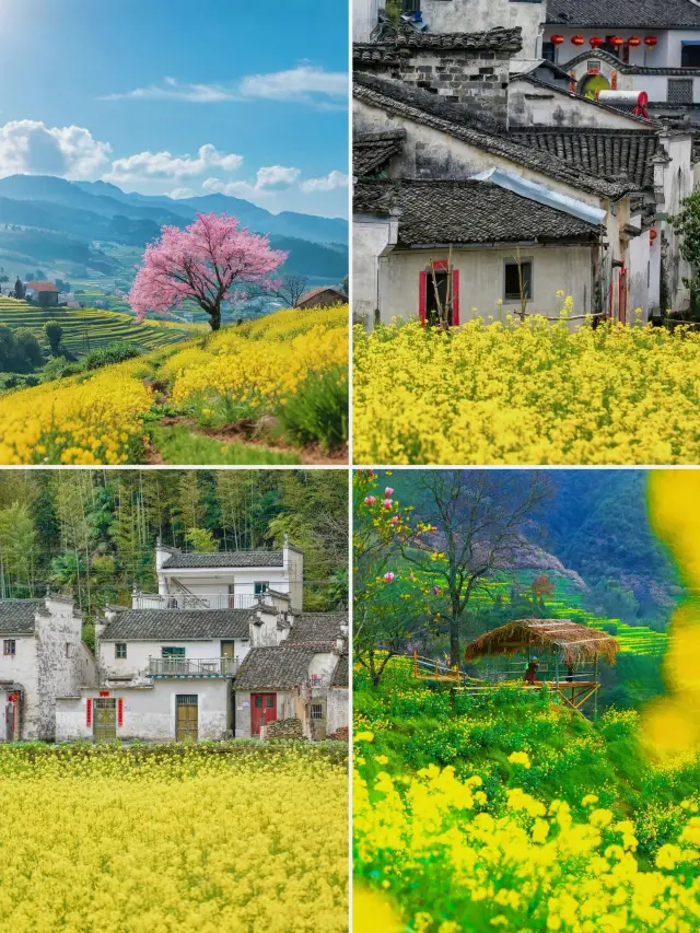 Wuyuan travel route in March!