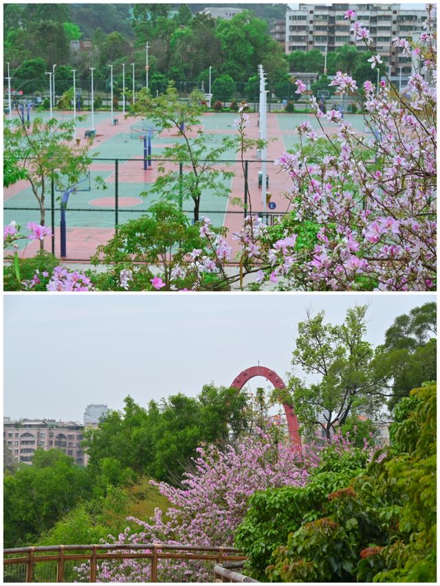 本次環線最美的城市出現了