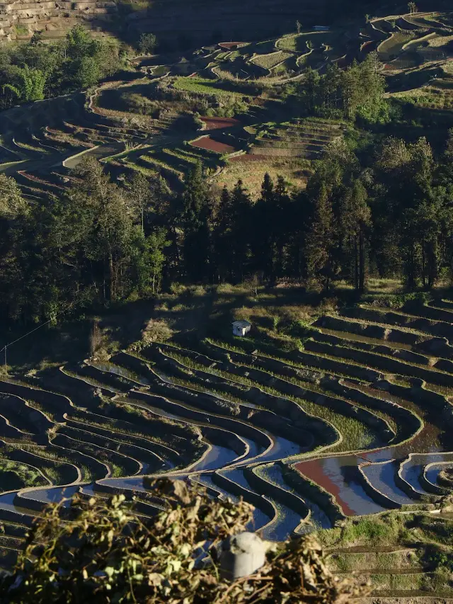 紅河3日間ツアー　清明節旅行にぴったり