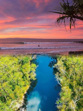 Secluded Paradise Town ‖ Noosa, Australia