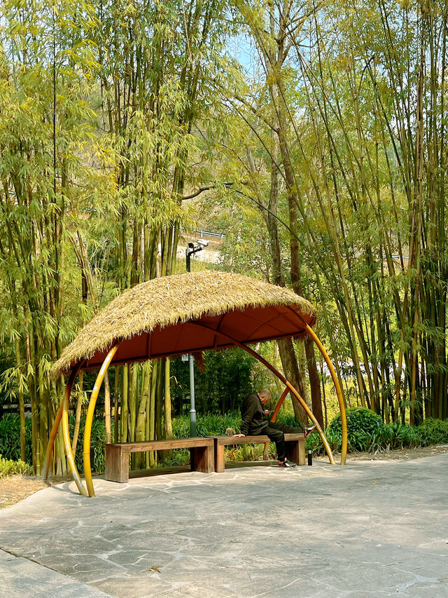 崇州竹藝公園徒步地圖來啦！週末吸氧計劃