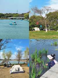 交換春天·魔都隱藏莫奈花園被我找到了
