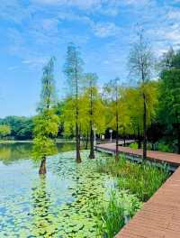 誰還不知道順德順峰山公園我會傷心的OK？