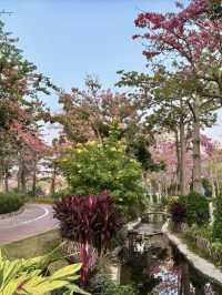 花海如夢，綿延心間