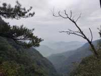 藍田王順山森林公園|秦嶺“小黃山”