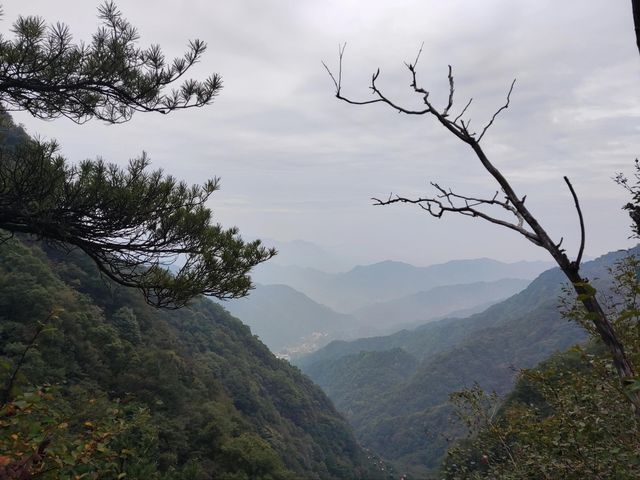 藍田王順山森林公園|秦嶺“小黃山”