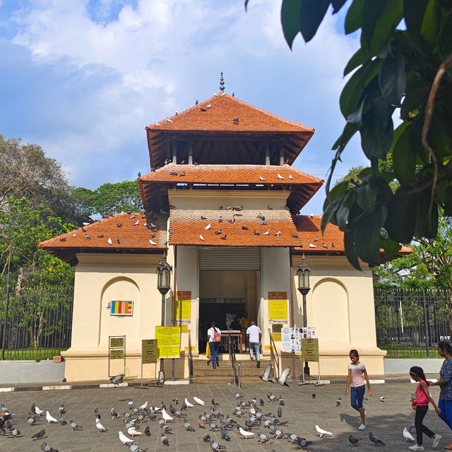 斯里蘭卡的旅行