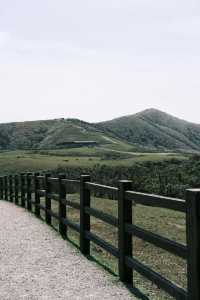 ⛰️明天要去台北小瑞士擎天崗！