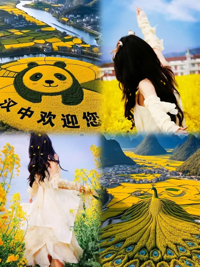 Hanzhong Rapeseed Flower Fields Spring Viewing Guide: A Poetic Retreat in Golden Waves