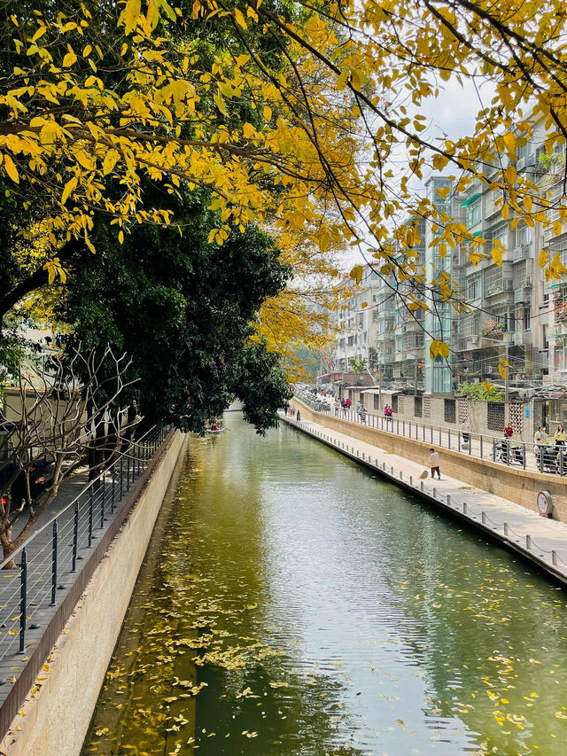 #荔灣湖公園：粵韻悠揚的城市明珠