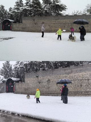 삶은 한 편의 가족 영화, 모든 프레임에 털북숭이 주인공이 함께합니다