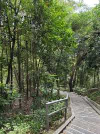 板障山森林公園：徒步邂逅自然之美