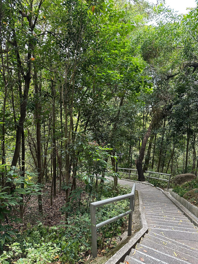板障山森林公園：徒步邂逅自然之美