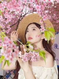⋆ ˚sukura୨୧˚櫻花會過期照片不會～