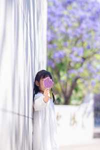 西昌2025藍花楹賞花攻略 紫色限定浪漫
