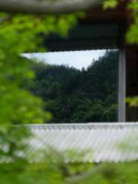 明月松間｜松間棲心處，江南水墨詞