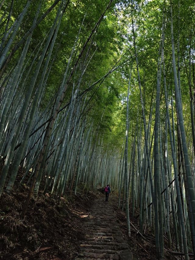 被徒步狠狠治愈！五一寧波親水吸氧路線