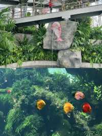 上海溫室花園｜瘋狂植物城簡直超超超超級出片！！！