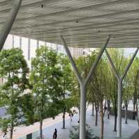 目黑中央廣場｜東京的都市綠洲🌳