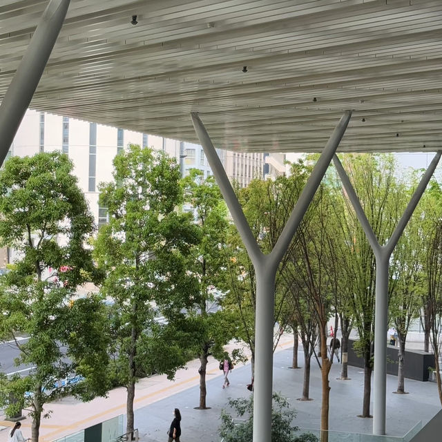 目黑中央廣場｜東京的都市綠洲🌳