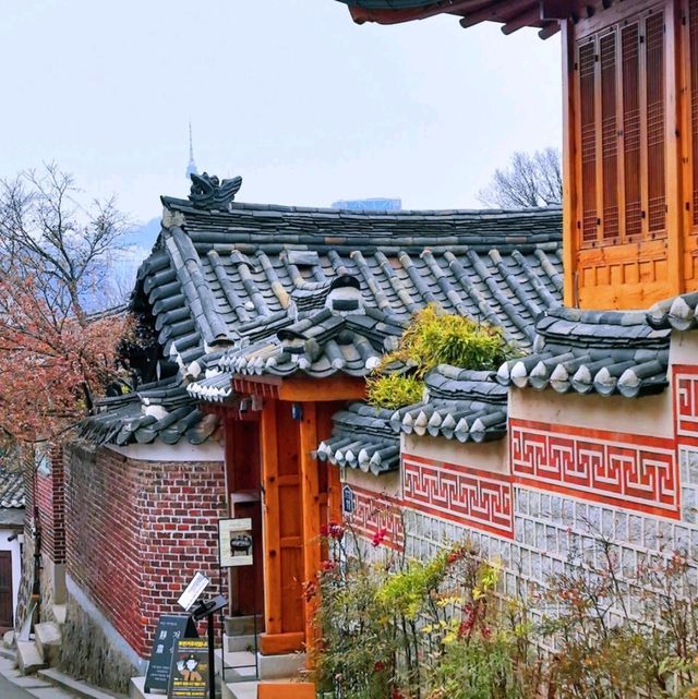 首爾必去！景福宮的春日浪漫，一眼就愛上🌸 