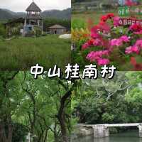 五一別再人擠人！來中山香樟公園吸氧撒歡🌳