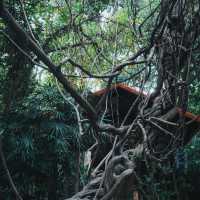 廣州小眾公園！樹木公園 這就是i人最愛的靜謐感吧