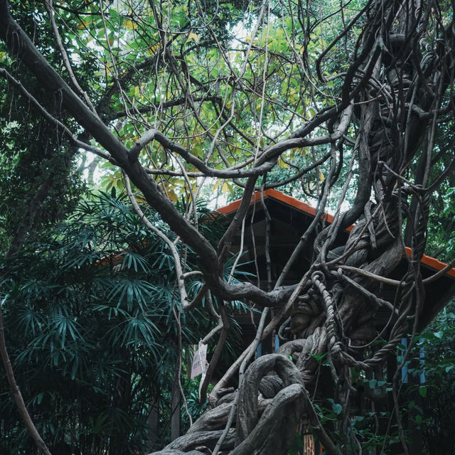 廣州小眾公園！樹木公園 這就是i人最愛的靜謐感吧