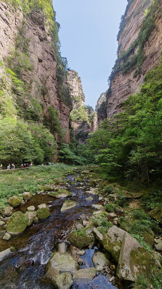 張家界鳳凰之旅
