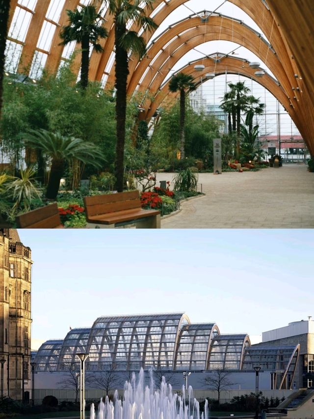 Sheffield Winter Gardens is so Dreamy❤️‍🔥🥰