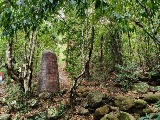 十萬大山國家森林公園